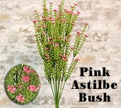 Pink Astilbe Bush, 20\