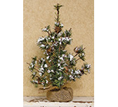 Snowy Brush Pine Tree, 12"