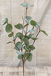 Crisp Air Eucalyptus Pick, 14\